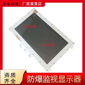 防爆監視顯示器